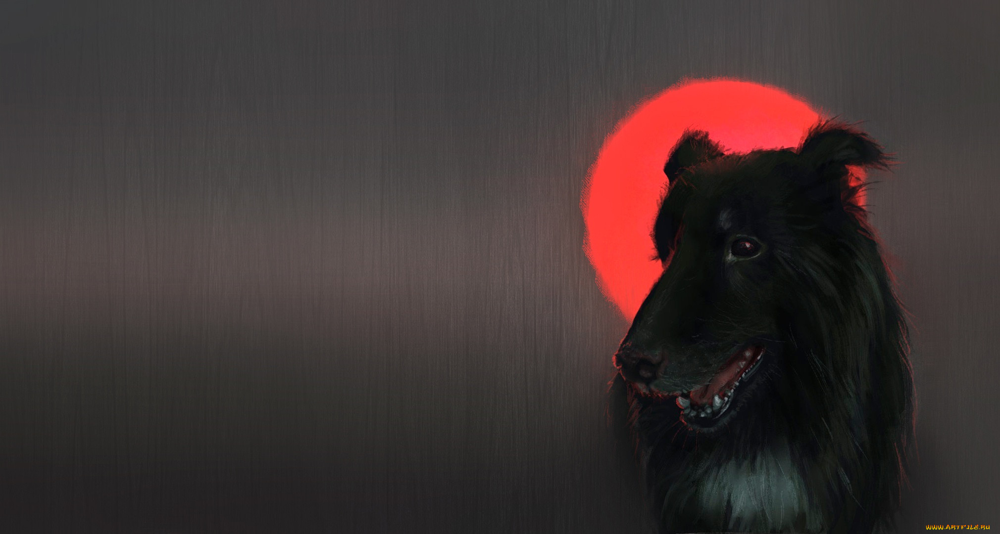 Пес вдова. Черный пес арт. Черная собака на Красном фоне. Собака Луна.